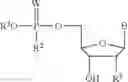 Fig. 25 - NOVEL PHOSPHATE MODIFIED NUCLEOSIDES USEFUL AS SUBSTRATES FOR POLYMERASES AND AS ANTIVIRAL AGENTS