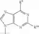 Fig. 30 - NOVEL PHOSPHATE MODIFIED NUCLEOSIDES USEFUL AS SUBSTRATES FOR POLYMERASES AND AS ANTIVIRAL AGENTS