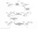 Fig. 09 - 2-fluorinated riboses and arabinoses and methods of use and synthesis