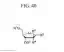 Fig. 35 - 2-fluorinated riboses and arabinoses and methods of use and synthesis