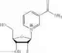 Fig. 60 - 2-fluorinated riboses and arabinoses and methods of use and synthesis