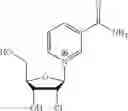 Fig. 68 - 2-fluorinated riboses and arabinoses and methods of use and synthesis