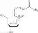 Fig. 71 - 2-fluorinated riboses and arabinoses and methods of use and synthesis