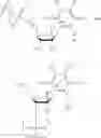 Fig. 77 - 2-fluorinated riboses and arabinoses and methods of use and synthesis