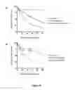 Fig. 05 - SULFATED POLYSACCHARIDES HAVING ANTIPLASMODIAL ACTIVITY AND METHODS AND PRODUCTS FOR IDENTIFYING ANTIPLASMODIAL ACTIVITY