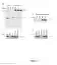 Fig. 10 - SULFATED POLYSACCHARIDES HAVING ANTIPLASMODIAL ACTIVITY AND METHODS AND PRODUCTS FOR IDENTIFYING ANTIPLASMODIAL ACTIVITY
