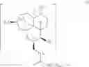 Fig. 58 - Trioxane monomers and dimers