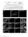 Fig. 09 - Neuroprotective compounds and their use