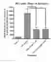 Fig. 17 - Neuroprotective compounds and their use