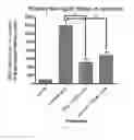 Fig. 18 - Neuroprotective compounds and their use