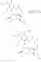 Fig. 19 - Methods Of Treating Liposarcoma