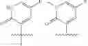 Fig. 28 - Substituted pyrazolo[1,5-a]pyrimidine compounds as Trk kinase inhibitors