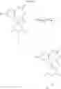 Fig. 148 - 2,3,4,5-tetrahydro-benzo{B}{1,4}diazepine-comprising compounds of formula(III) for treating pain
