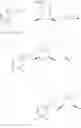 Fig. 13 - Platelet-activating factor receptor antagonists