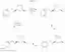 Fig. 14 - Platelet-activating factor receptor antagonists