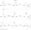 Fig. 17 - Platelet-activating factor receptor antagonists