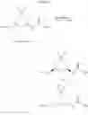 Fig. 23 - Platelet-activating factor receptor antagonists