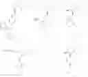 Fig. 15 - Dihydrooxazol-2-amine derivatives
