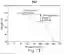 Fig. 12 - Forms of rifaximin and uses thereof