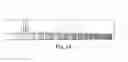 Fig. 24 - Forms of rifaximin and uses thereof
