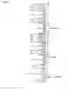 Fig. 02 - PHARMACEUTICAL PREPARATION CONTAINING OXYCODONE AND NALOXONE