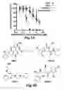 Fig. 02 - Hedgehog Pathway Antagonists and Methods of Use