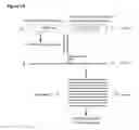 Fig. 02 - Methods and compositions to protect aquatic invertebrates from disease