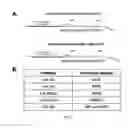 Fig. 11 - MICRO RNA MARKERS AND METHODS RELATED THERETO