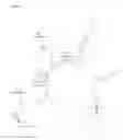 Fig. 04 - Oligomers