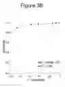 Fig. 05 - Methods of Diagnosing and Treating Carcinomas