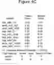 Fig. 09 - Methods of Diagnosing and Treating Carcinomas