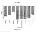 Fig. 07 - METABOLIC PROFILES