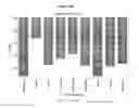Fig. 19 - METABOLIC PROFILES
