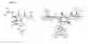 Fig. 02 - CIS 3,4-dihydroxy-2-(3-methylbutanoyl)-5-(3-methylbutyl)-4-(4-methylpentanoyl)cyclopent-2-en-1-derivatives, substantially enantiomerically pure compositions and methods