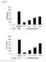 Fig. 09 - CIS 3,4-dihydroxy-2-(3-methylbutanoyl)-5-(3-methylbutyl)-4-(4-methylpentanoyl)cyclopent-2-en-1-derivatives, substantially enantiomerically pure compositions and methods