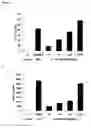 Fig. 11 - CIS 3,4-dihydroxy-2-(3-methylbutanoyl)-5-(3-methylbutyl)-4-(4-methylpentanoyl)cyclopent-2-en-1-derivatives, substantially enantiomerically pure compositions and methods