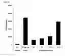 Fig. 12 - CIS 3,4-dihydroxy-2-(3-methylbutanoyl)-5-(3-methylbutyl)-4-(4-methylpentanoyl)cyclopent-2-en-1-derivatives, substantially enantiomerically pure compositions and methods