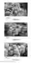 Fig. 06 - Aerosol-mediated particle synthesis