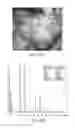 Fig. 07 - Aerosol-mediated particle synthesis