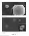 Fig. 15 - Aerosol-mediated particle synthesis
