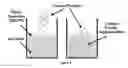 Fig. 07 - Soy methyl ester polystyrene blends for use in concrete