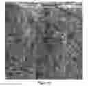 Fig. 32 - Soy methyl ester polystyrene blends for use in concrete