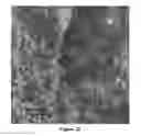 Fig. 33 - Soy methyl ester polystyrene blends for use in concrete
