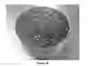 Fig. 37 - Soy methyl ester polystyrene blends for use in concrete