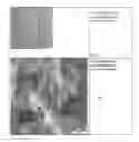 Fig. 02 - Polyamide fibers with dyeable particles and production thereof