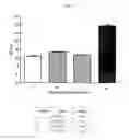 Fig. 02 - Optimized monoclonal antibodies against tissue factor pathway inhibitor (TFPI)