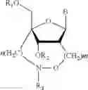 Fig. 05 - METHOD FOR SYNTHESIZING NUCLEIC ACID