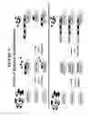 Fig. 06 - Production of defined monodisperse heparosan polymers and unnatural polymers with polysaccharide synthases