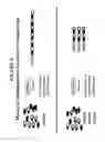 Fig. 07 - Production of defined monodisperse heparosan polymers and unnatural polymers with polysaccharide synthases
