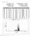Fig. 10 - siRNA conjugate and preparation method thereof